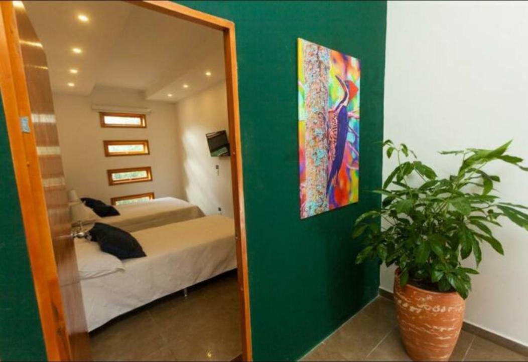 Albore Hostal Pereira Zewnętrze zdjęcie
