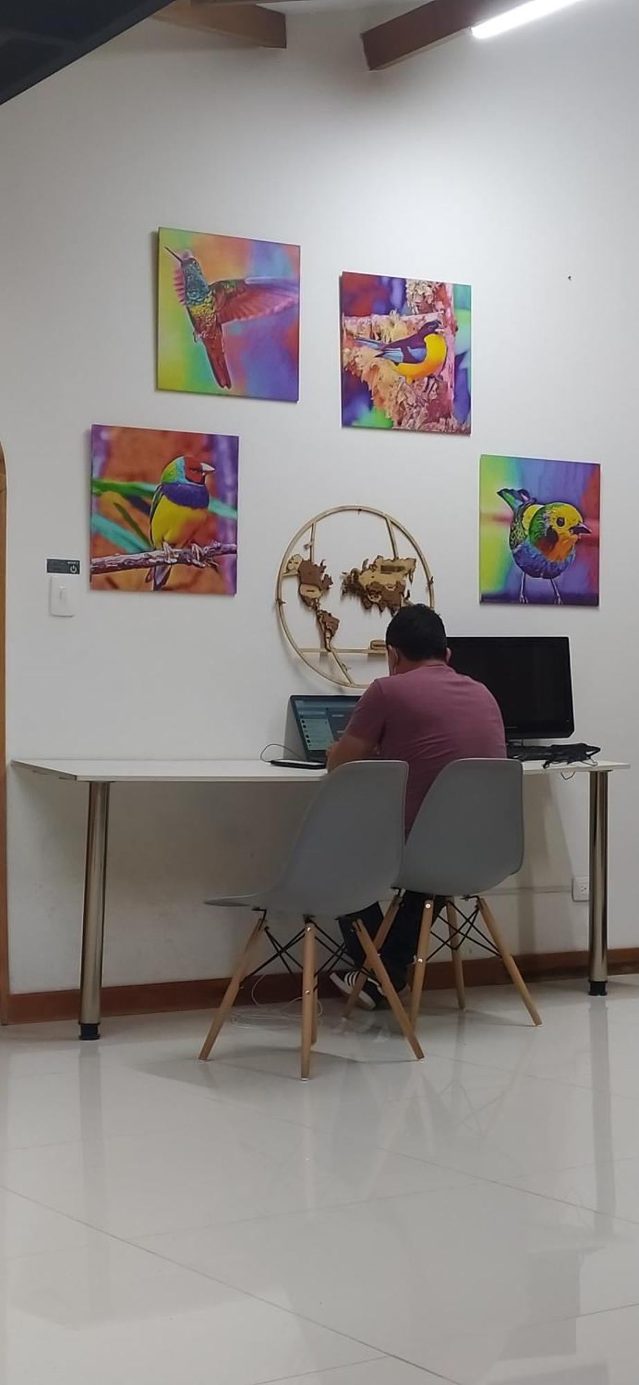 Albore Hostal Pereira Zewnętrze zdjęcie